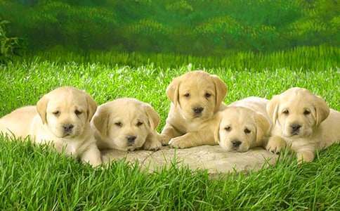 �Ԛ��С��С�W(xu��)����3ƪ