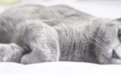 ���؂䡿С؈С�W(xu��)����300�־�ƪ