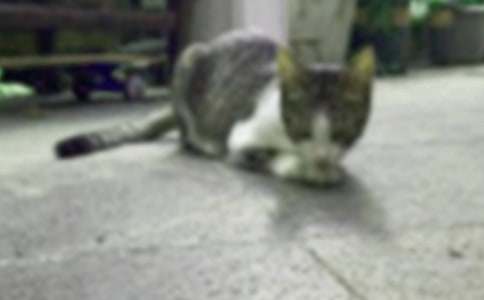 ����(sh��)�á�С؈С�W(xu��)���ąR����ƪ