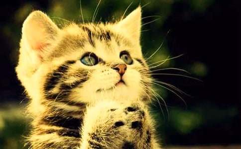 �����]��С�W(xu��)С؈���ąR��7ƪ