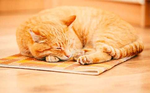 ���P(gu��n)С؈С�W(xu��)����400�ֺϼ�ʮƪ