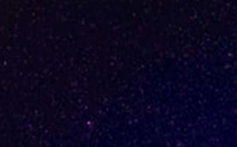 �P(gu��n)���ǿյ�Ψ���̾�