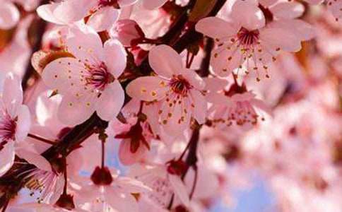 ٝ���ѻ���Ԋ���ȫ