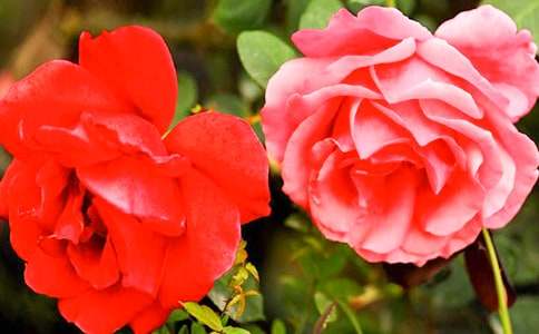 �^���¼�������