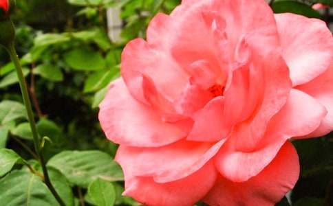 �¼�������15ƪ