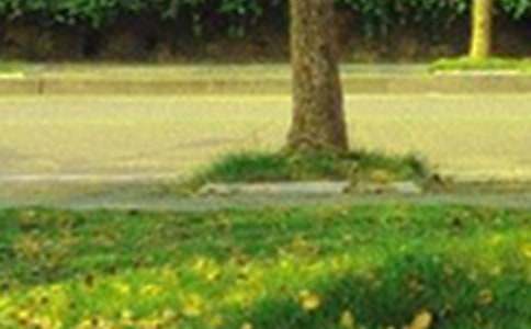 ���x���õ��簲����Ȧף���Zժ�30��