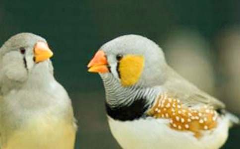 �n�������B�̌W(xu��)��(sh��)�