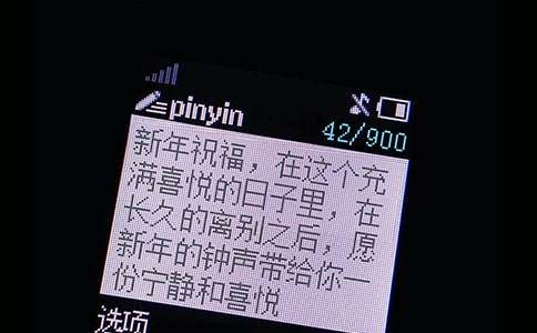 ţ��ף������