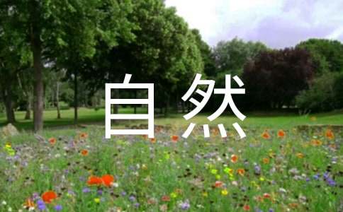 ��Ȼ�c���`[��]