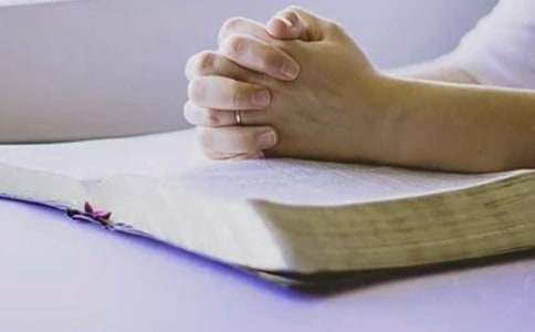 �W(w��ng)��T��ȿ��˿��Y(ji��)