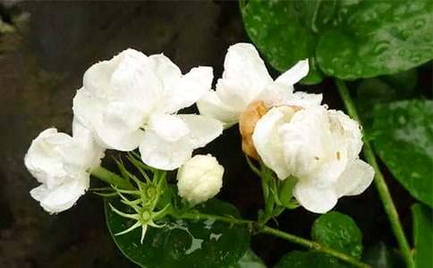 ��������������