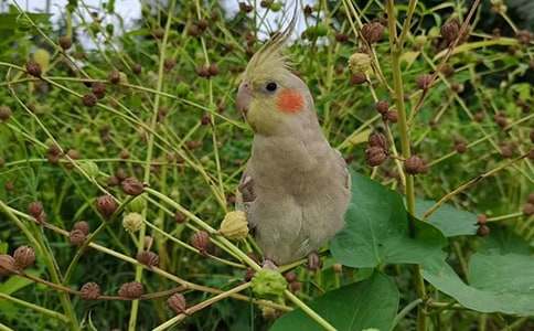 �W�^���ģ�����15ƪ��