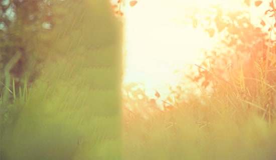 ɭϵ����Ψ���̾�