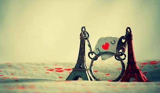 �P(gu��n)�ڐ����Ψ���̾�