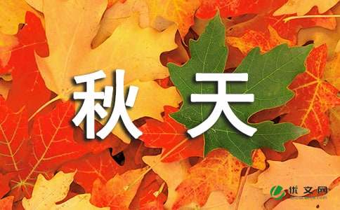 ����ľ�ɫ����