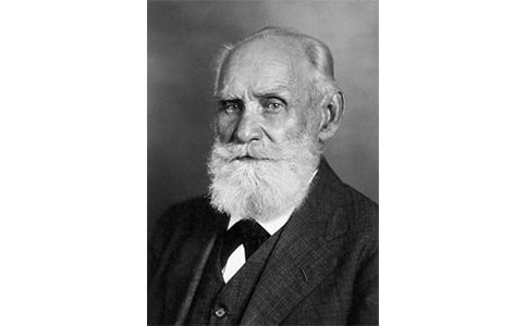 �͸�����æ�x���