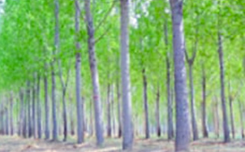 2022���ח�Yٝ���x���Pӛ�����x14ƪ��