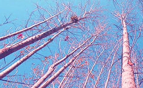 �p�Z(y��)ɢ�ģ��ח�Yٝ ì��