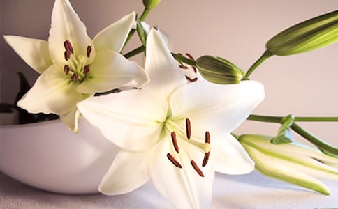 �ٺϻ�����400��