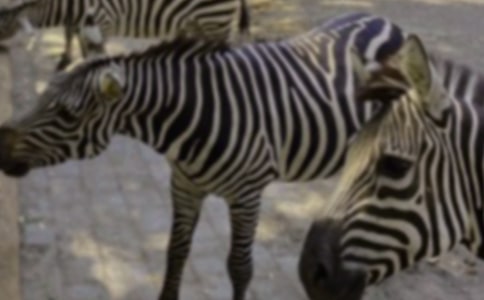 ���Rؐ�ĺ���-���Rؐ��ʲô������