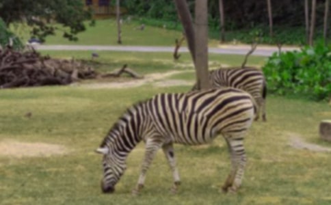  �Y׌���R�����h��(sh��)