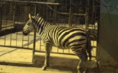 ���R·�ϵİ��R����