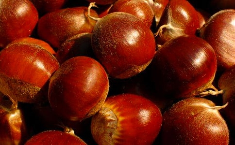 ����������15ƪ����(y��u)�㣩