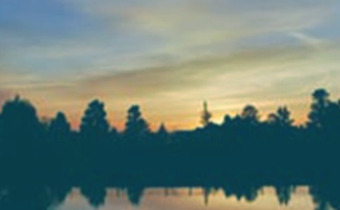 �m�ϰ����l(f��)���f(shu��)�f(shu��)