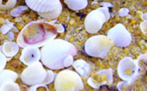 ؐ��С�W����