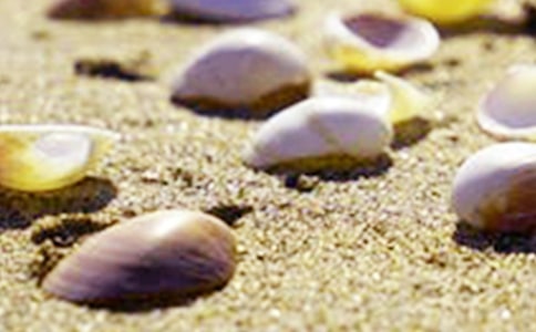 ��ؐ�����ă�(y��u)��[14ƪ]