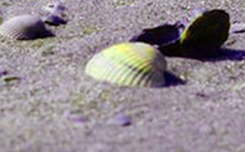 ���ݺ�ؐ��