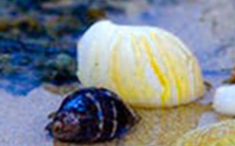 ���õ�ؐ��������ƪ