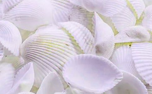 撿貝殼作文350字(精選6篇)