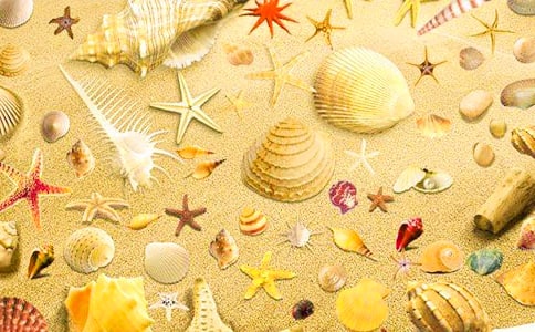 ����ؐ���Ć�ʾ