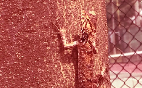 ����С�ڻ���β�ͽ̌W(xu��)�O(sh��)Ӌ(j��)