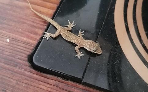 �����]��С�ڻ�����