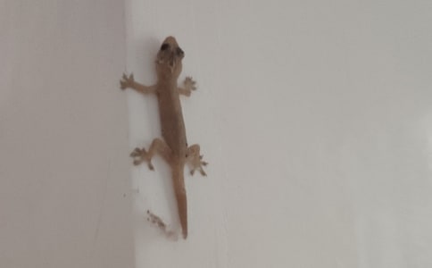 С�ڻ���β�ͷ�