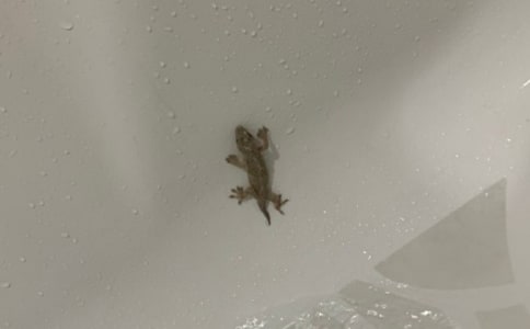 �����ϣ�С�ڻ���β�ͷ�