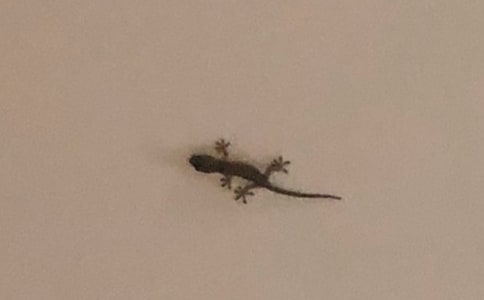 ��С�ڻ���β�͡��̌W(xu��)��(sh��)�