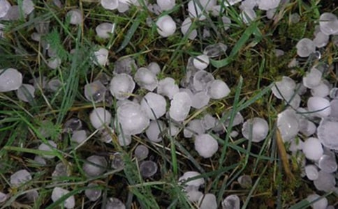 ����ı�����(y��u)������