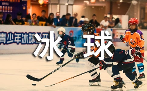 ���\(y��n)��(hu��)�(xi��ng)Ŀ��B--����