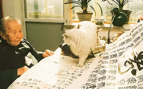 冰心散文摘抄欣賞