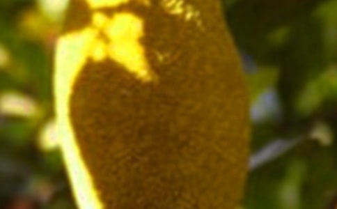 ���п��ԳԲ��}�۸Ɇ������г�ʲô���^��