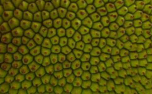 ���}�����Ľ�(j��ng)��[15ƪ]