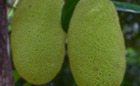 ���}�����ġ���(y��u)��