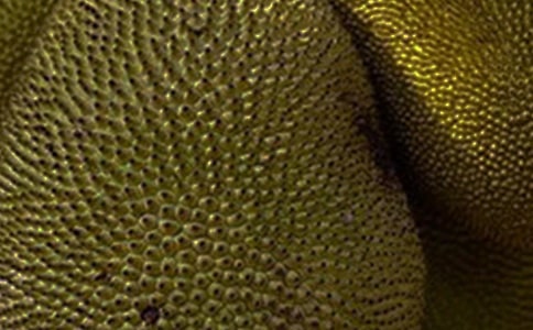 ���}������15ƪ����(y��u)�x��