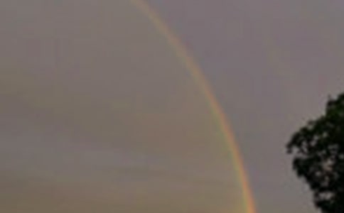 �茑�ʺ�ĺ��~�þ�ö�ժ��