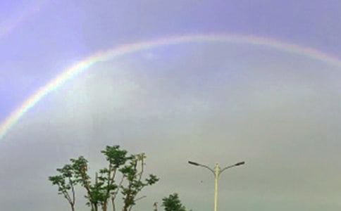 �ʺ��������