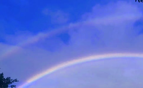 �����L����ÿһ�(y��)����һĨ�ʺ�����