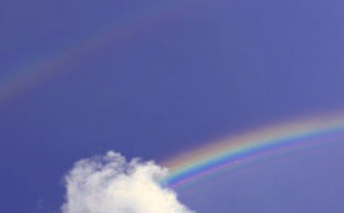 ���еĲʺ����Ĺ�14ƪ